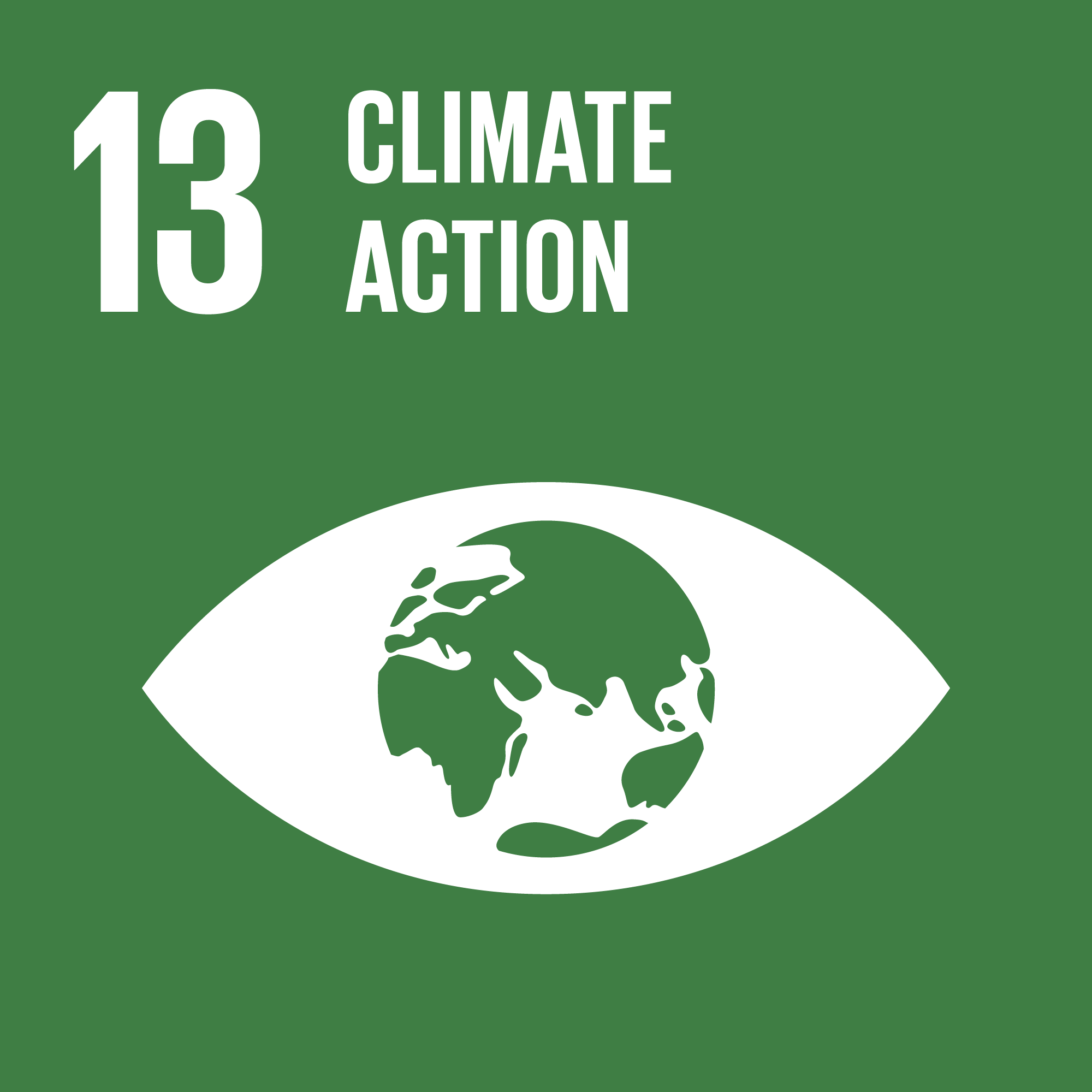 Sustainable Development Goal 13: SDG 13: Climate Action