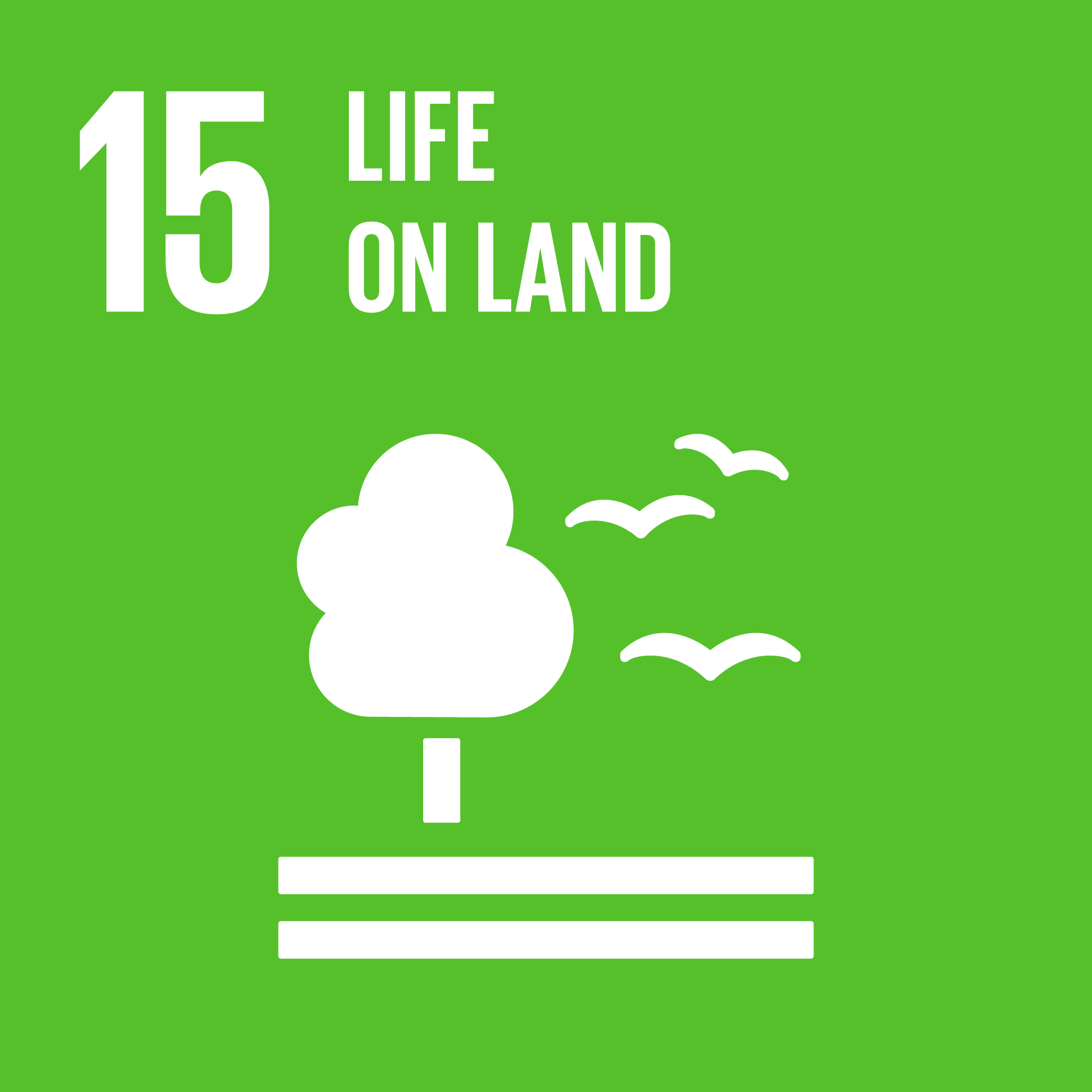 Sustainable Development Goal 15: SDG 15: Life on Land