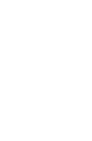 United Nations Development Programme (UNDP) Logo